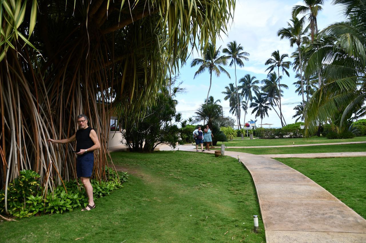Hotel Alisei Las Terrenas Exterior photo